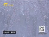 时尚中国 《时尚中国》 20160128