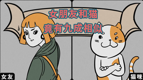 喵客帝国 猫和女朋友有这么多相似