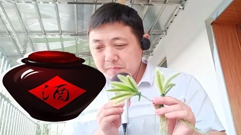 唱罢吹灯 大哥你就是皮，把这首苦情歌唱得太搞笑，头一次这样看见