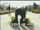 焦点访谈 《焦点访谈》 20131218 乱花为何迷人眼/雨雪中的温情
