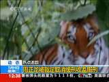 法治在线 法治在线 2010-05-04