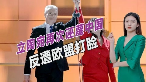 立陶宛为何敢疯狂挑衅中国？自认为有美欧支持，欧盟回应很打脸