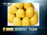 消费主张 《消费主张》 20180226 家乡的年味儿：河北邯郸