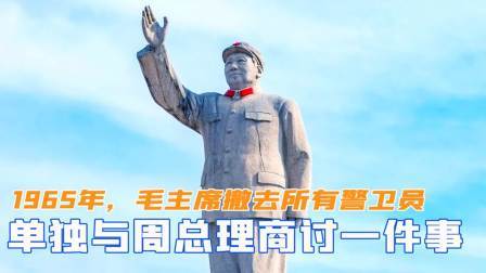 战史分析 1965年，毛主席撤去所有警卫员，单独与周总理商讨一件事情