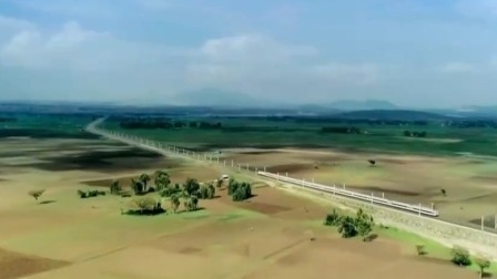 征程 护绿色家园
