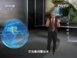 地理中国 《地理中国》 20160223 寒假特别节目·地球档案  大地的眼泪（下）