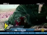 中国电影报道 《中国电影报道》 20170612