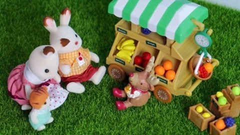 小喵咪吃了路边的水果