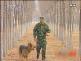 地球密码（周末精编节目） 周末精编节目 2010年 第131期