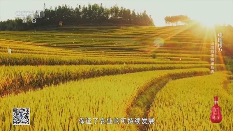 《农耕探文明》 第17集 中国南方 山地稻作梯田系统