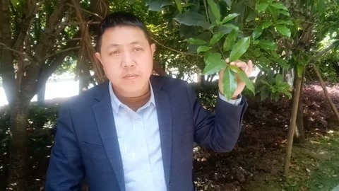唱罢吹灯 大叔你唱歌太扎心，一曲《谁的落花》听完让人泪奔