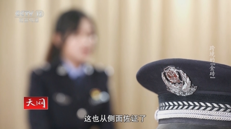 天网 《天网》 20240513 跨境的“金砖”