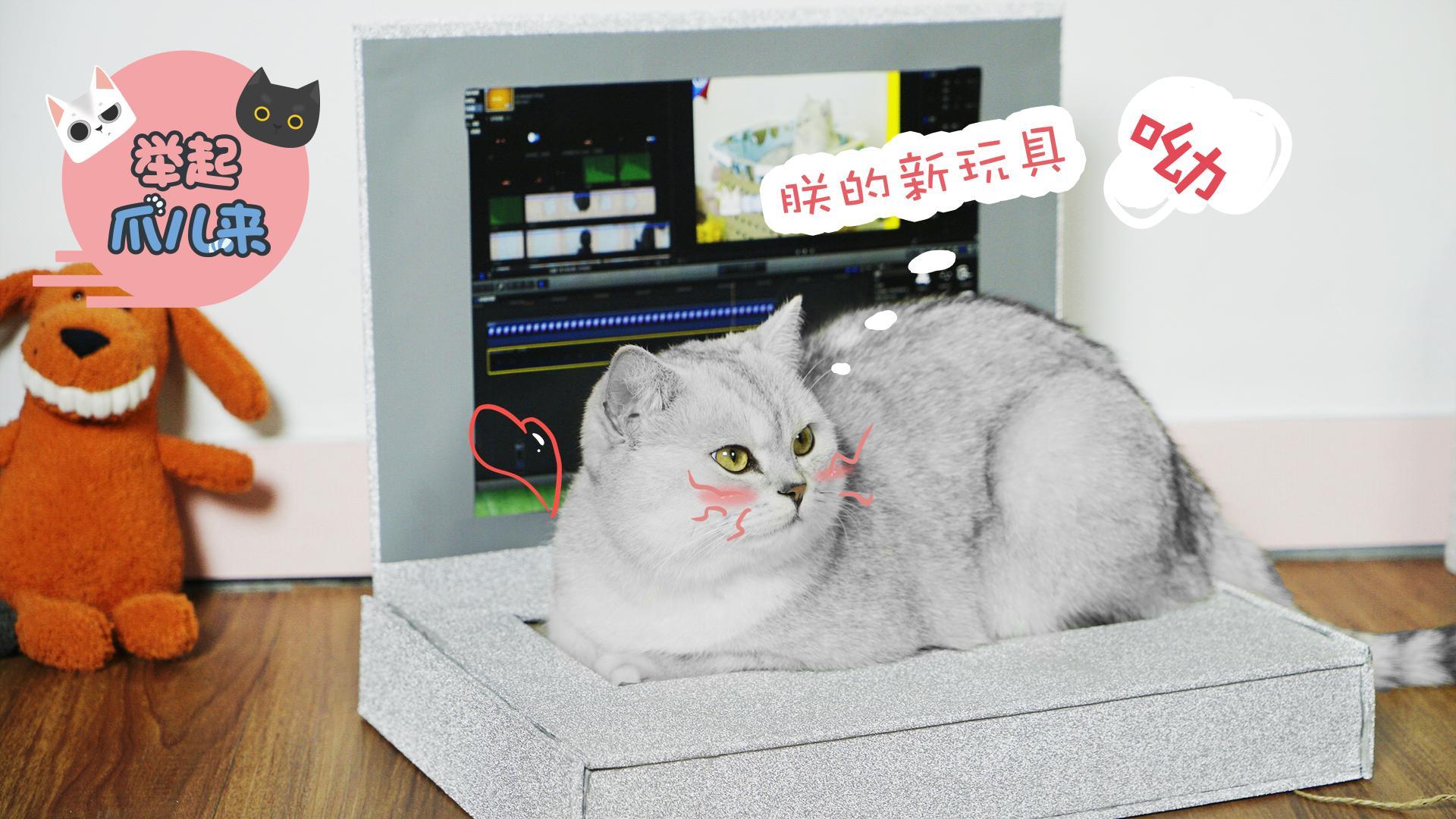 举起爪儿来 DIY趣味电脑猫抓板【举起爪儿来】
