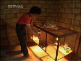 芝麻开门【央视】 芝麻开门 2010年 第106期