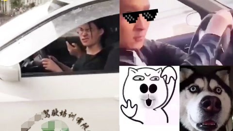 爆笑精选 驾考学员奇葩朵朵开！为驾照1秒变表情包