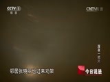 今日说法 《今日说法》 20161128 深夜一把火