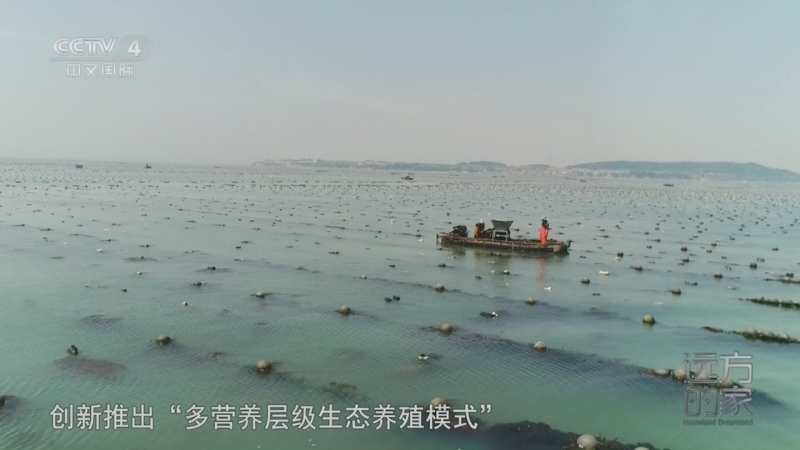 远方的家 《远方的家》 20260713 山河锦绣看中国 极致海岸 丰饶牧场