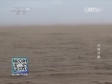 我爱发明 《我爱发明》 20140624 种柳神器