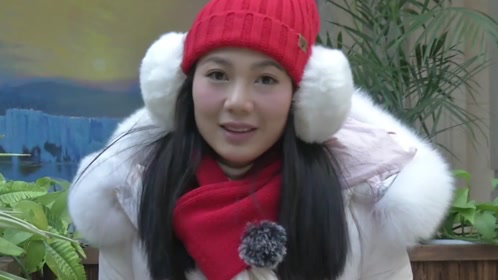 活力大冲关 冰雪的游戏
