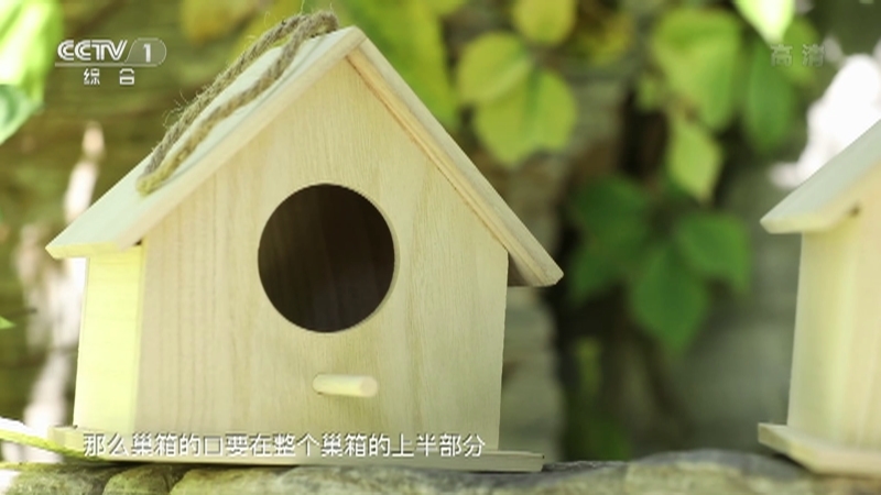 《生活提示》 20211205 自制的鸟巢 真能保护鸟类吗？