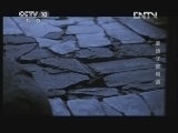秘境 央视 《秘境》 20130729 谁动了舍利函