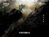 地理中国 《地理中国》 20161231 雨林迷踪