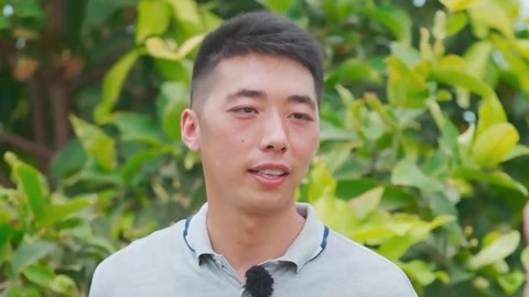海南必吃“佛果”——莲雾 水果界的“三好学生”