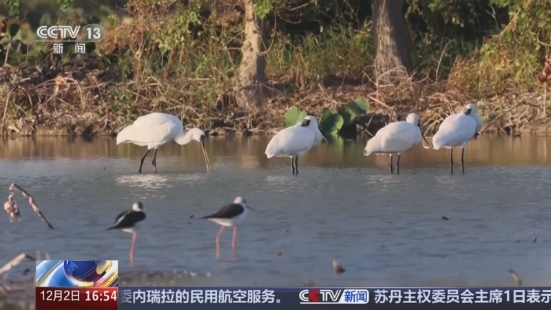 新闻直播间 《新闻直播间》 20251202 16:00