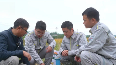 以科研之力 护湘稻之丰