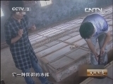 生财有道 《生财有道》 20131101 与蛇结缘的父子