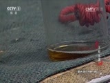 动物世界 《动物世界》 20170401 王蛇出游