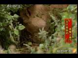 动物世界 动物世界 2010年 第66期