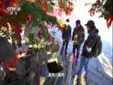 地理中国 《地理中国》 20180109 佛岛奇井