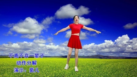 甜蜜情歌《不离不弃一辈子》64步，背面附分解