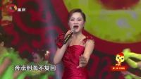 重庆市春节联欢晚会 2017 歌曲《中国美》陈丽媛 24