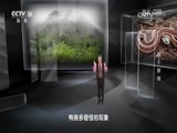 地理中国 《地理中国》 20170123 地球档案•莫干禁地