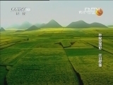 地理中国 《地理中国》 20130112 神秘的圆形·花田怪圈