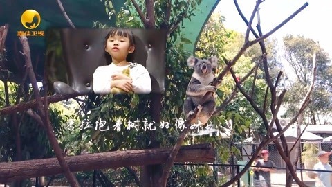音乐涂鸦乐园 汉堡