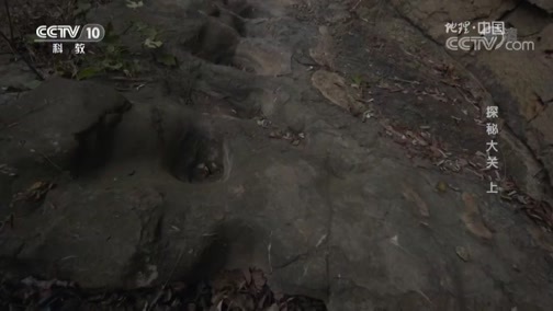地理中国 《地理中国》 20190813 探秘大关（上）