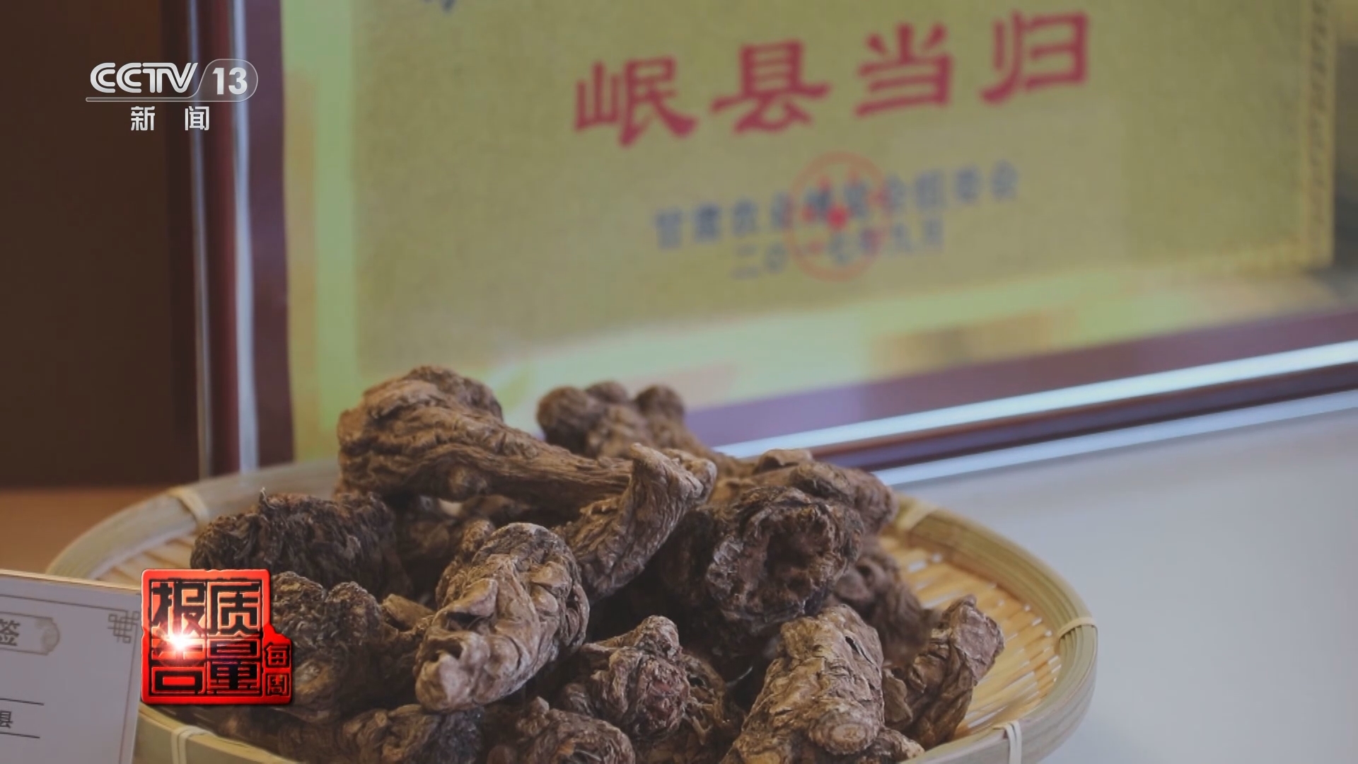 每周质量报告 《每周质量报告》 20240121 中医药高质量出海 国际化之路该如何走？