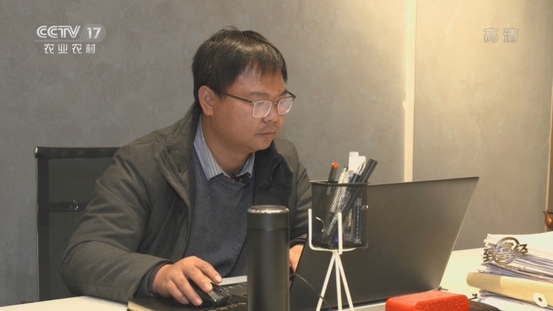 致富经 《致富经》 20220325 种下土疙瘩 “黄金”地里淘