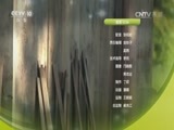 我爱发明 《我爱发明》 20160804 巧冲妙削