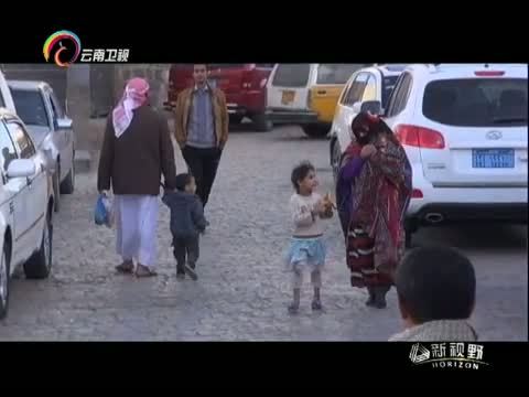 新视野 《新视野》 20150512