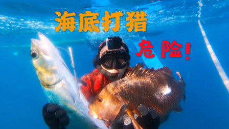 阿镭本来只想抓两条鱼给老爸，不小心闯入鱼窝，收获几百块