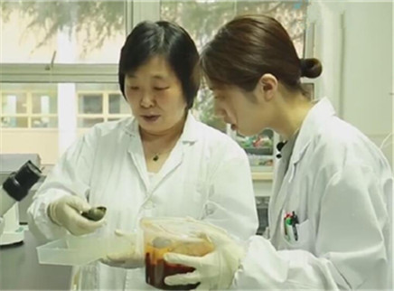 新闻大求真 福寿螺里会含有寄生虫吗？