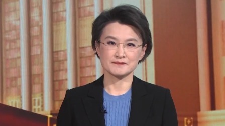 两会1+1 两会1+1： 小组会议 见证履职