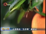 重庆新闻联播 《重庆新闻联播》 20160408