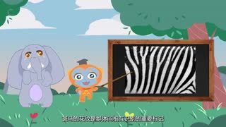 动物园的朋友们_斑马