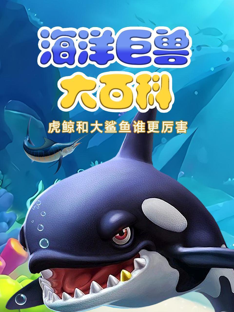 海洋巨兽大百科，虎鲸和大鲨鱼谁更厉害