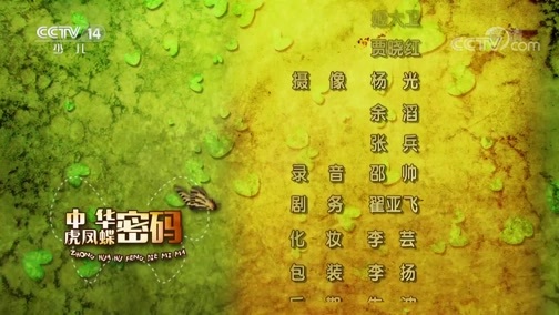 芝麻开门【央视】 《芝麻开门》 20190511 中华虎凤蝶密码